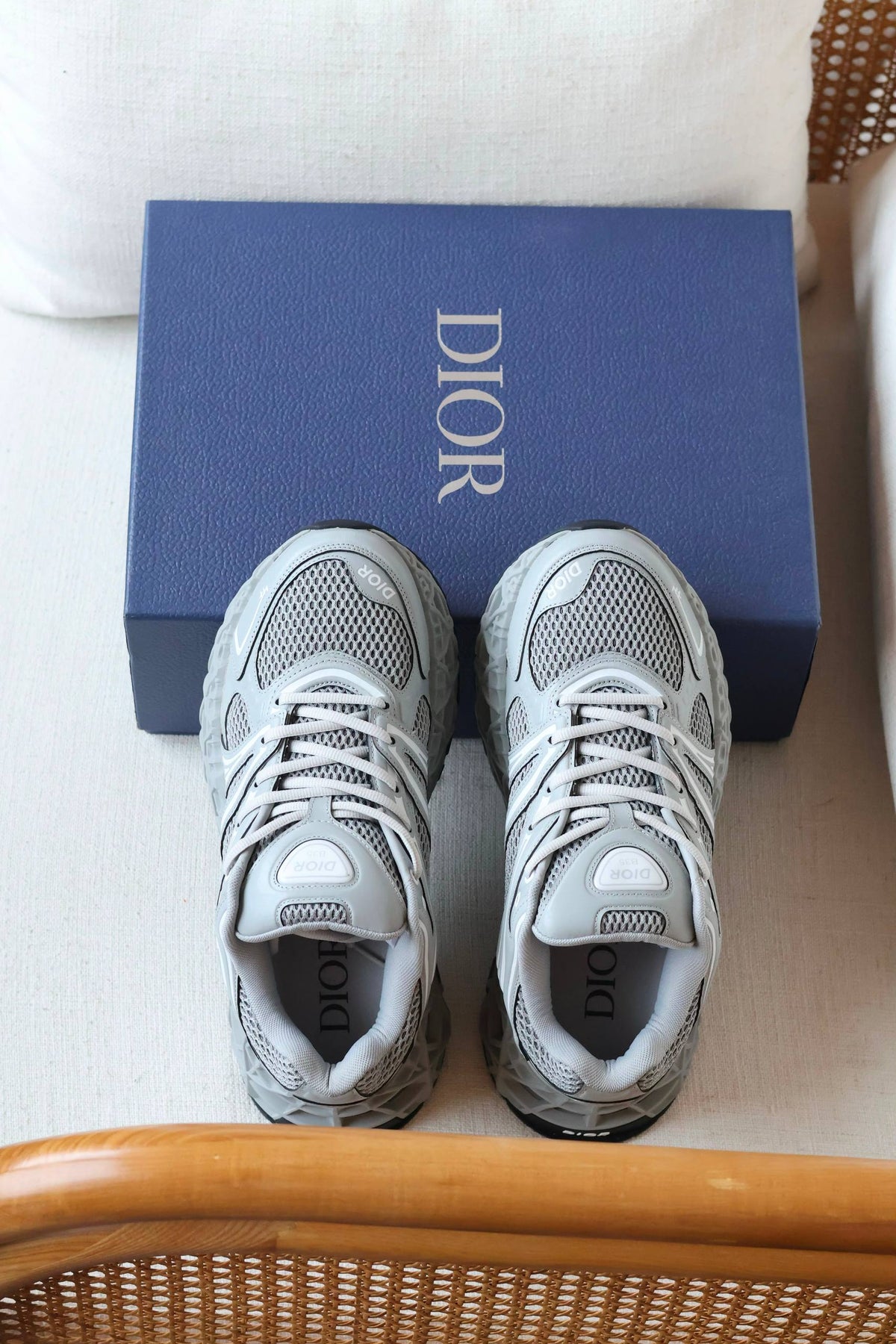 Dior Sneakers